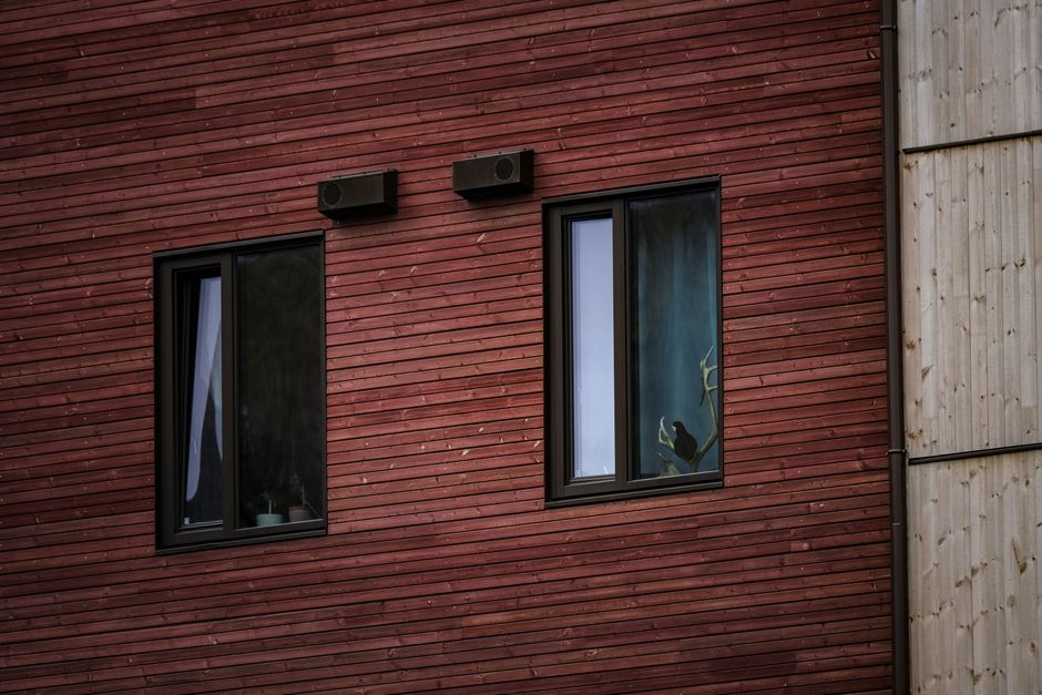 Modern home exterior with new energy efficient replacement windows